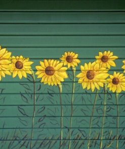 Boero-Durum-email-lucios-lemn-metal-moldova